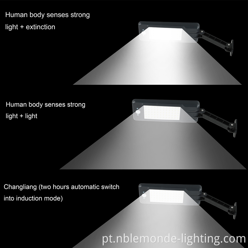Solar Motion-Sensing Street Lamp 
